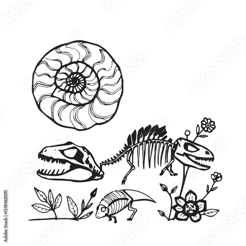 Fossil skeletons dinosaurs ammonite botanical illustration