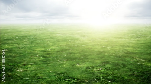 Verdant field meets an ethereal sky