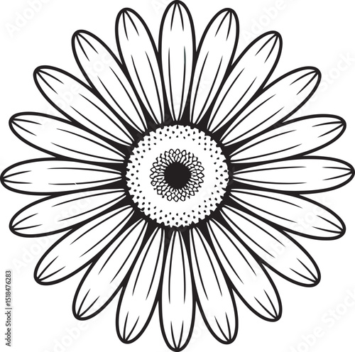 A detailed black and white illustration featuring a single daisy flower in full bloom showcasing its intricate floral details.