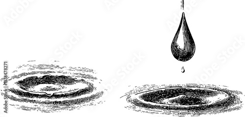 Detailed engraved illustration of raindrops creating ripples on surface for creative design