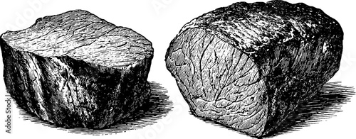 Engraved antique illustration of roast beef cuts for culinary art and design