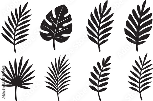 Collection of tropical leaves silhouettes vector. 