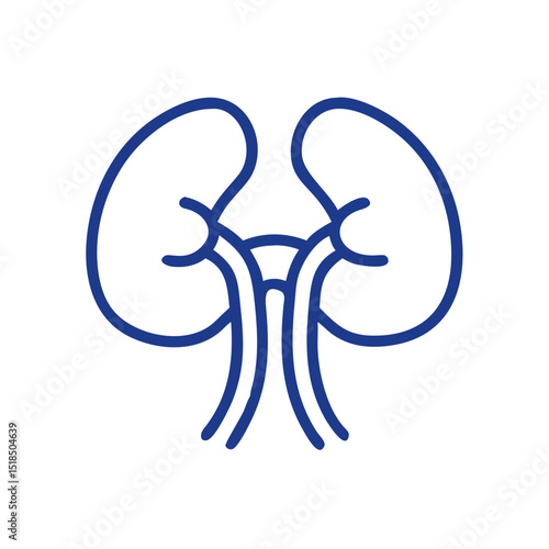 Kidney icon, human anatomy, simple design, blue color on white background, copy space