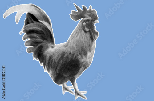 close up side view of rooster pixelate grayscale color halftone dotted texture style collage element isolated on blue background