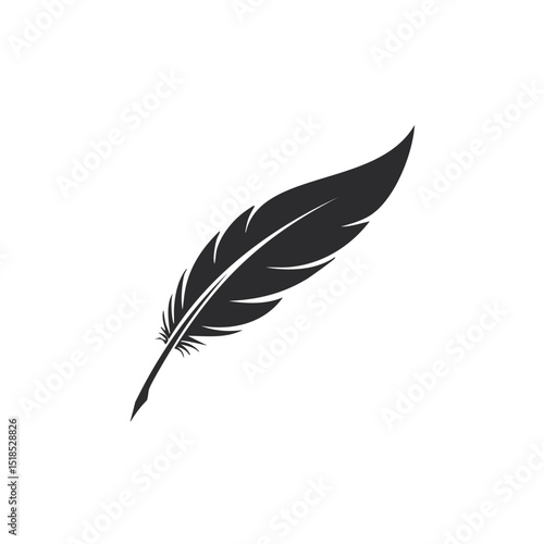 feather on white background
