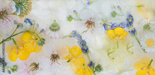 seamless artistic colorful wallpaper with flowers from the field frozen in ice; daisy, buttercup, clover, lavender, geranium