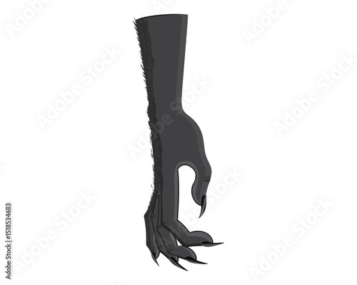 vector illustration design of a black werewolf or monster hand with its sharp claws