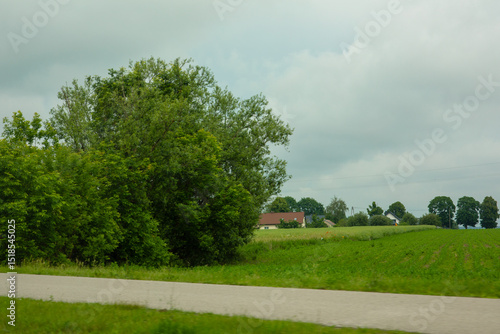 Landscape of green grass and garden by the road in the countryside