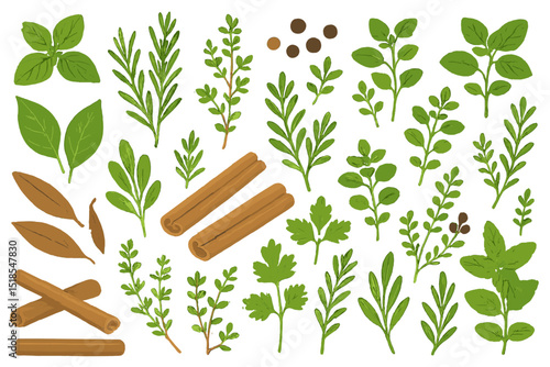 Herbs and spices collection with leaves, cinnamon, and peppercorns