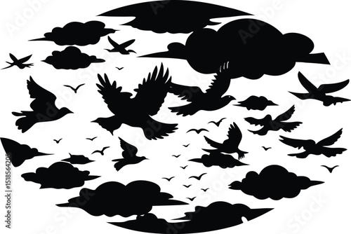 Cloudy Sky With Birds Silhouette | Birds Flying Under Overcast Sky