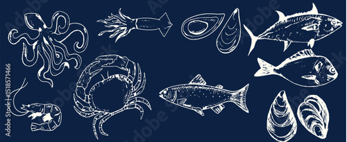 Incredible Hand Drawn Seafood Vectors