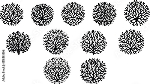 Coral Reef Silhouette logo set vector illustration