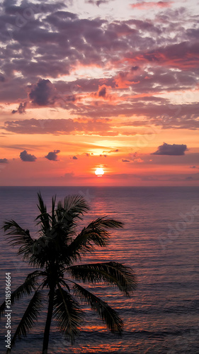 Stunning sunset over the ocean, framed by a palm tree silhouette, creating a picturesque scene.