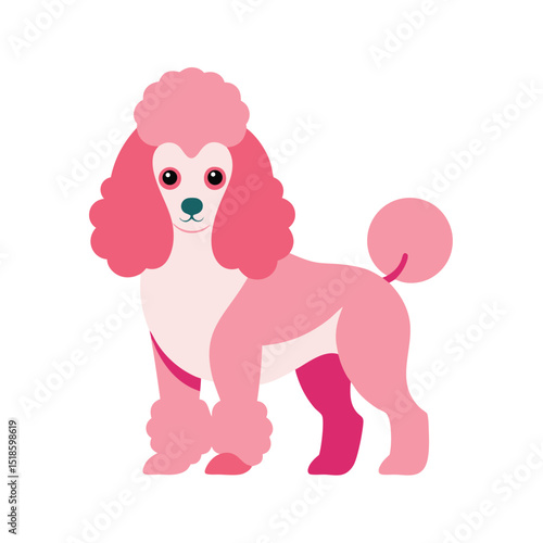 poodle puppy