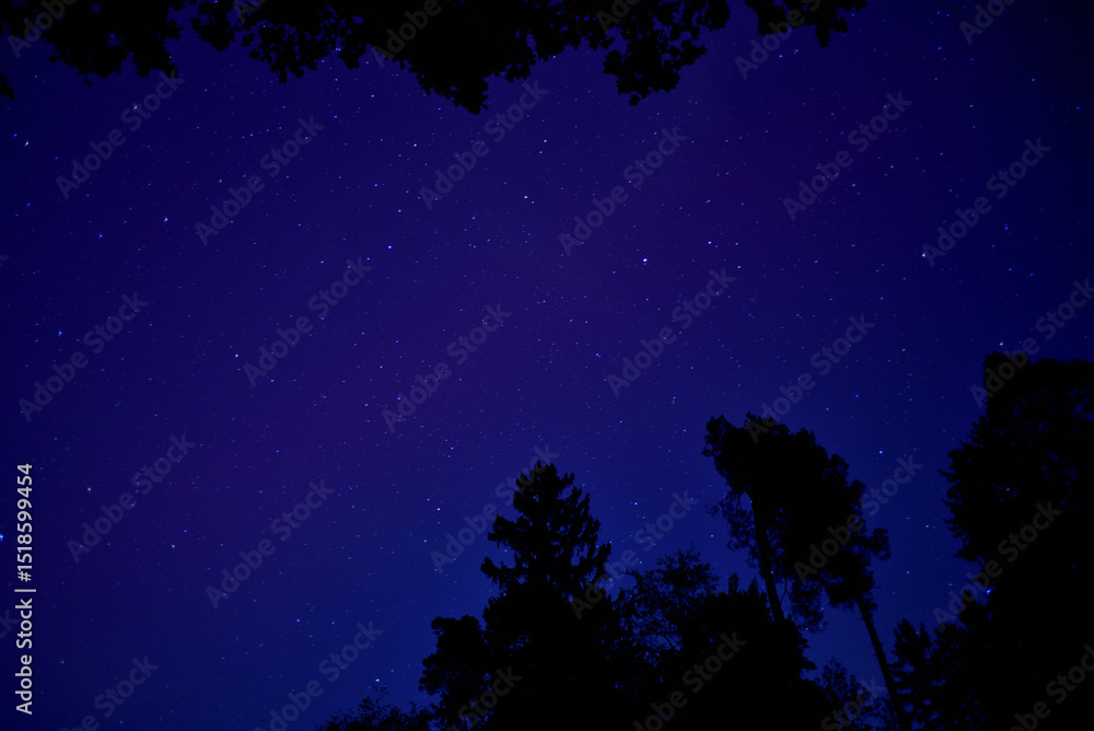 Naklejka premium nacht, himmel, gestirn, blau, all, licht, abstrakt, mond, dark, wasser, weihnachten, galaxie, hintergrund, natur, partikel, baum, landschaft, abbildung, unter wasser, hell, astronomie, glow, cosmos, b