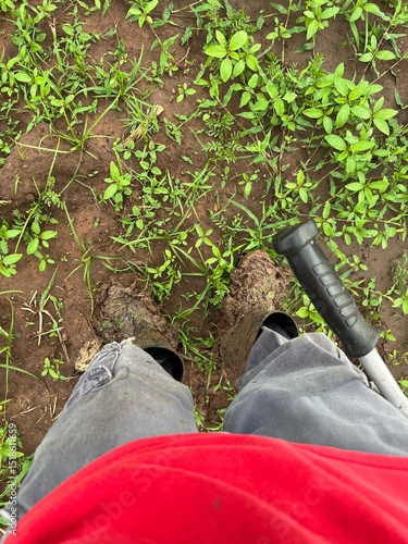 gardening tools in a garden