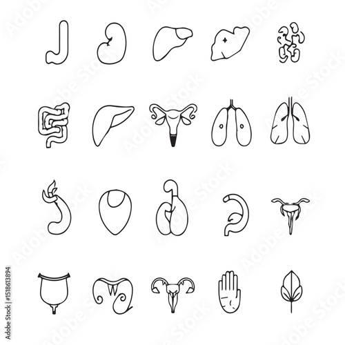 Collection of human internal organ icons