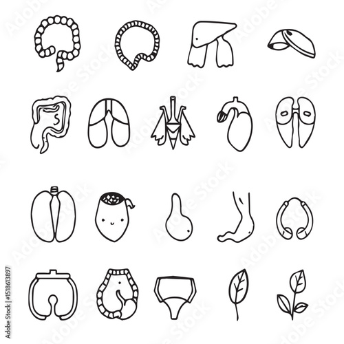 Hand drawn human organ icons set
