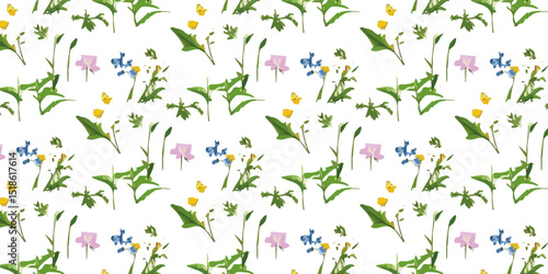 Lluvia de confeti cayendo
. White background with an assortment of small pressed flowers and leaves.
