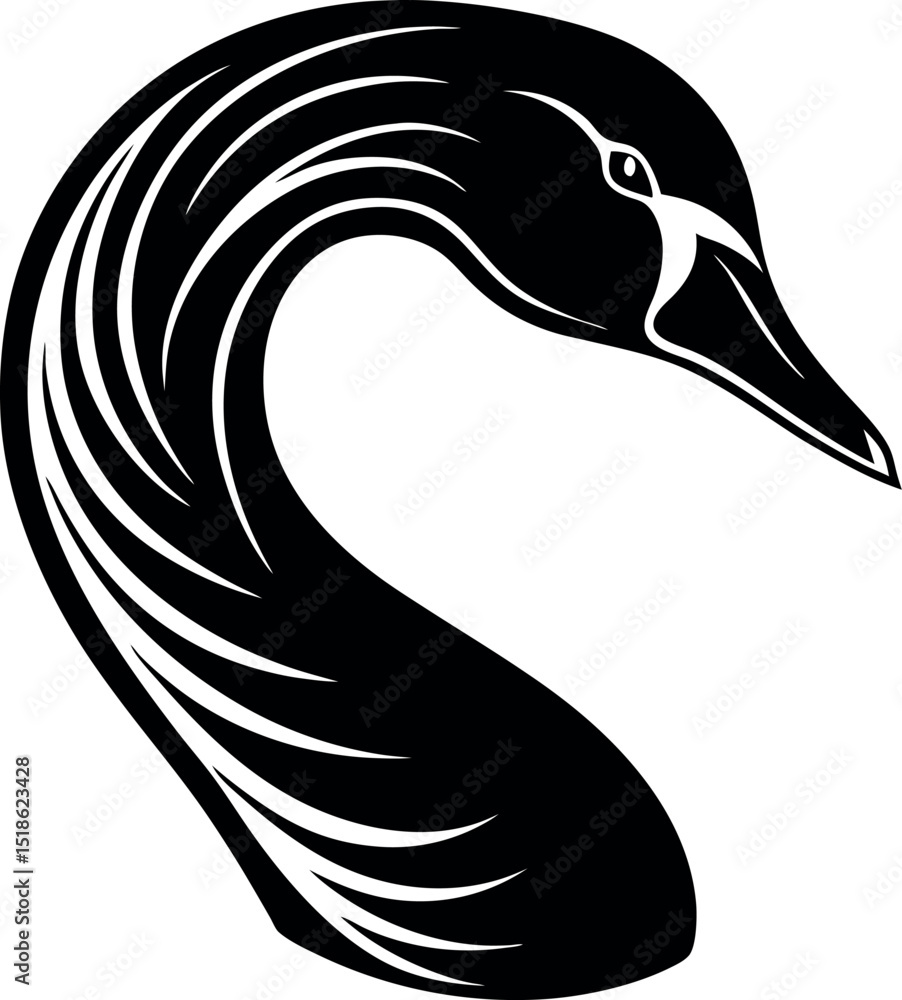 Obraz premium Swan Head in Soft Elegant Chrome on White Background Shallotte