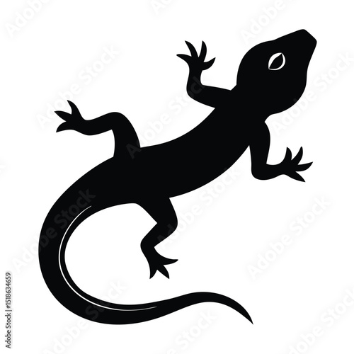 silhouette of a lizard
