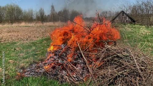 A large fire of dry grass is burning, forest fires.