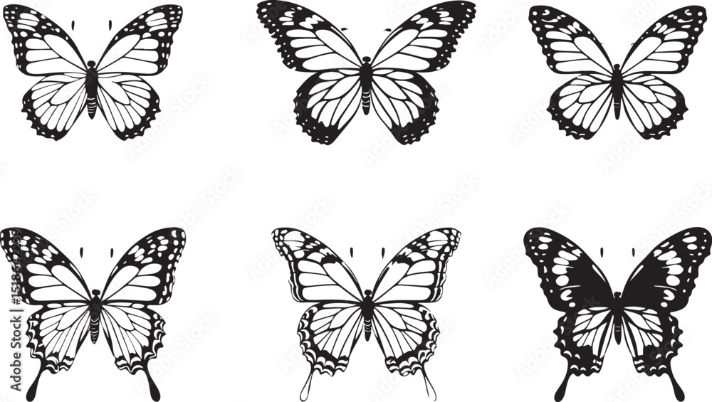 Detailed vector illustrations featuring six different black and white butterfly wing designs Detailed vector illustrations featuring six different black and white butterfly wing designs