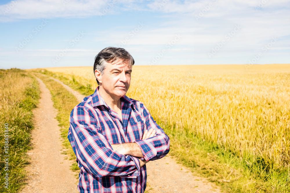 Middle-aged man standing with arms crossed on dirt track through golden wheat field, copy space Middle-aged man standing with arms crossed on dirt track through golden wheat field, copy space