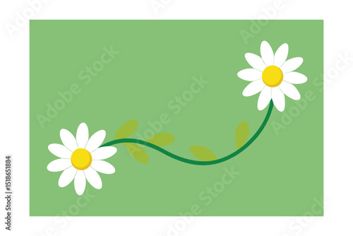 floral background with camomiles