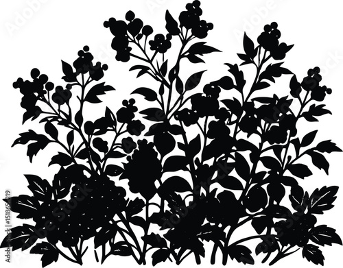 Bushes With Berry Clusters Silhouette | Berry Bushes Nature Outline