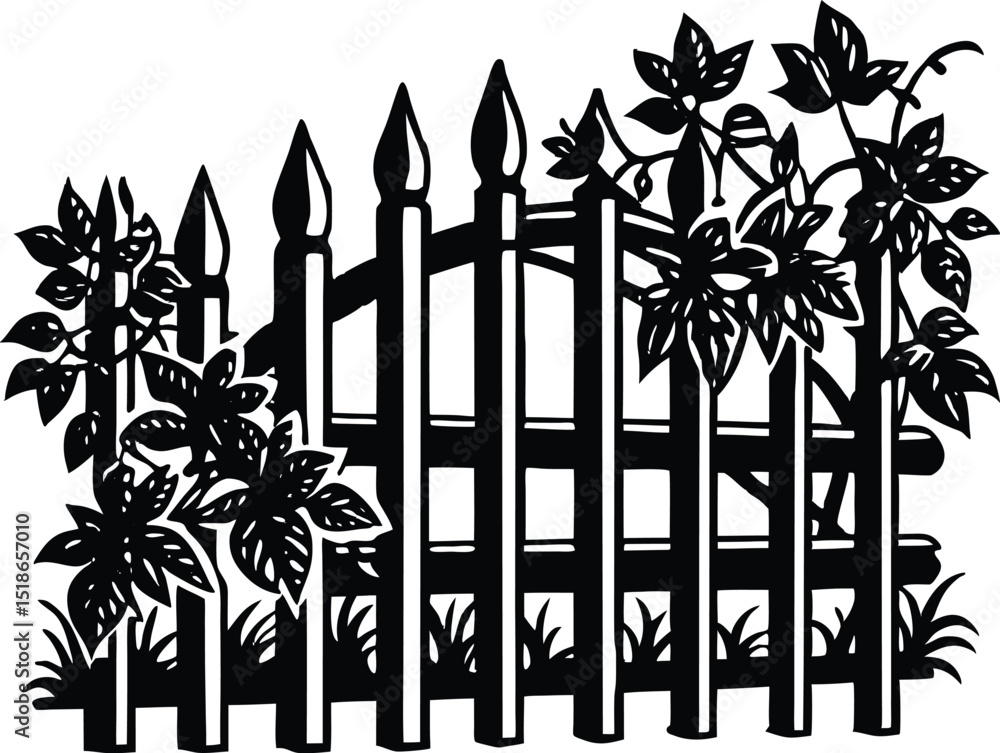 Garden Fence With Vines Silhouette | Backyard Fence With Climbing Plants Garden Fence With Vines Silhouette | Backyard Fence With Climbing Plants