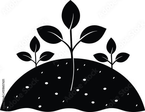 Sprouting Seeds In Soil Silhouette | New Plant Growth In Garden