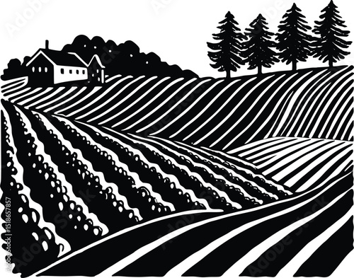 Vineyard Rows On Slope Silhouette | Grapevine Hillside Farming