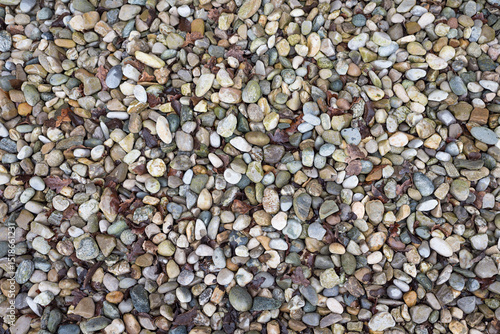 Fotografi wet smooth colorful river pebbles, natural background