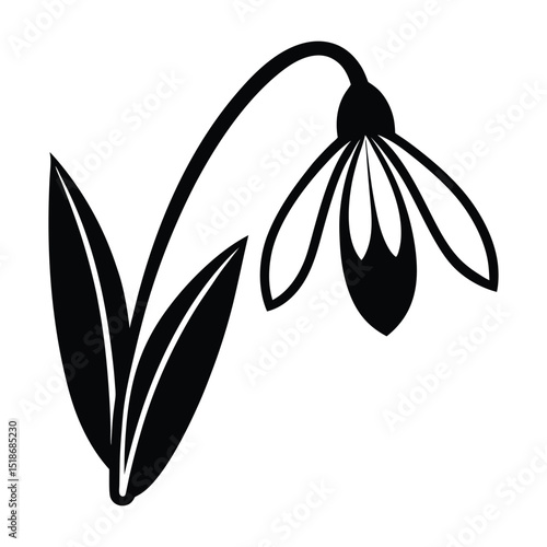 snowdrop flower icon silhouette vector illustration on white background