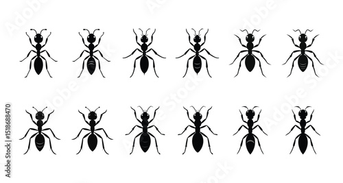 Ant silhouette vector art illustration. Black ant vector design. Cartoon ant insect . Side view black and white vector set illustration. Ant isolated on white background. 