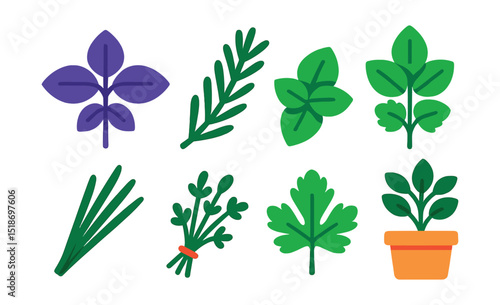 Flat vector icons of herbs and small edible plants: basil sprig, rosemary stem, mint leaves, parsley bunch, chives, thyme bundle, coriander leaf, oregano pot.