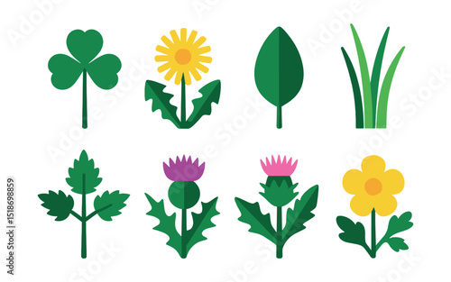 Flat vector icons of wild plants: clover, dandelion, plantain leaf, wild grass, nettle, thistle, burdock, buttercup.