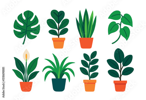 Flat vector icons of common houseplants: monstera leaf, fiddle leaf fig, snake plant, pothos vine, peace lily, spider plant, ZZ plant, rubber tree.