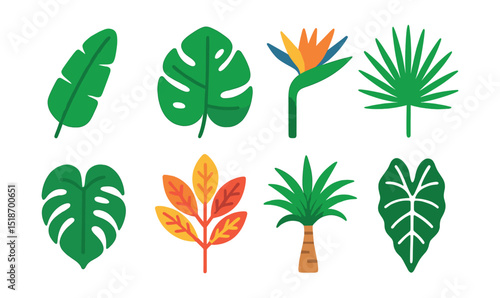 Flat vector icons of tropical plants: banana leaf, monstera deliciosa, bird of paradise, palm frond, philodendron, croton plant, dracaena, alocasia leaf.
