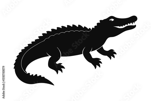 crocodile isolated on white background.