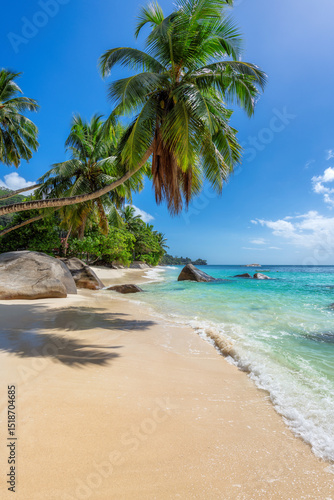 Palm trees on sandy beach palm and turquoise sea. Summer vacation and tropical beach concept.