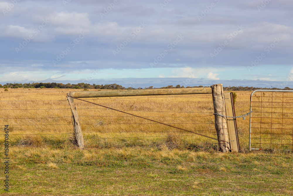 Fototapeta premium farm gate and fence in dry winter field