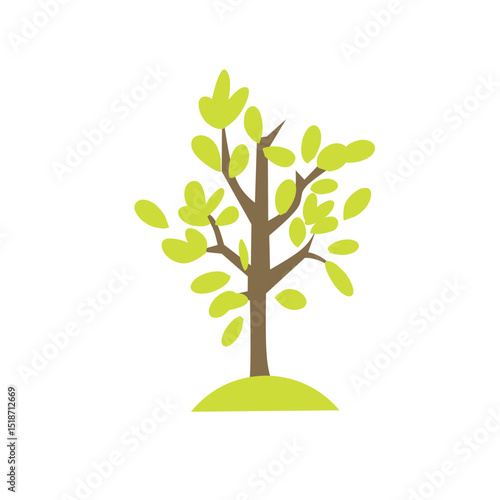 Set of tree and leaf collection hand drawn flat design vector element. botanical set of bare trees and ones with leaves and lush green