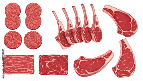 Various Cuts of Raw Beef on White Background, Vector 