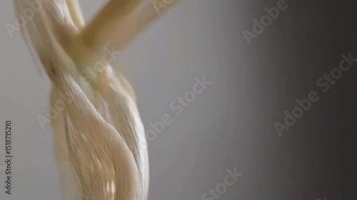 Branchiomotor Fibres, Vagus Nerve Structures (Cranial Nerve CN X), Neuroanatomy, Human Anatomy, Sensory And Motor Fibers, Nervous System