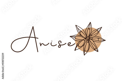Anise Spice. Doodle Anise Star vector illustration with inscription on white background. Seasoning for food and drinks. Organic product sketch for packaging, sale, shop sign. Flavor cooking ingredient