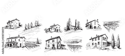 Vineyards landscapes sketched abstract digital illustration