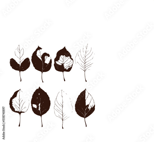 Beige Foliage Autumn watercolor elements, leaves
