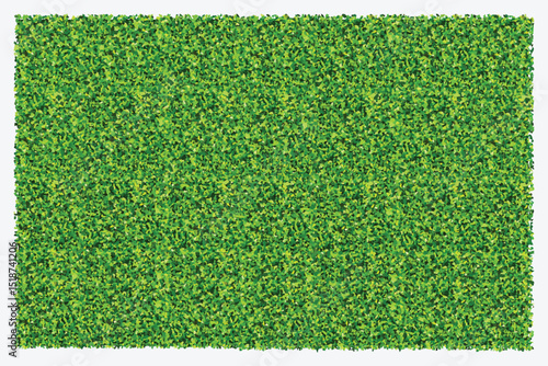 Green grass field background. Texture of green lawn grass. Green grass seamless texture. Vector illustration.